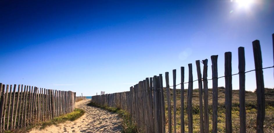L'Escale Catalane, 50M De La Plage, 36M2, Parking Canet-en-Roussillon Exteriér fotografie